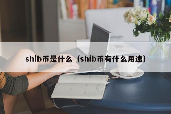shib币是什么(shib币有什么用途)